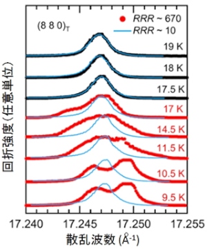 X線回折ピークの温度変化を示す図。青線は従来の純良でない試料。丸印は今回の超純良試料の結果。隠れた秩序相転移温度より高温（黒丸）では単一のピークであるのに対し、低温では二つのピークに分裂する様子が観測された。（京都大学の発表資料より）