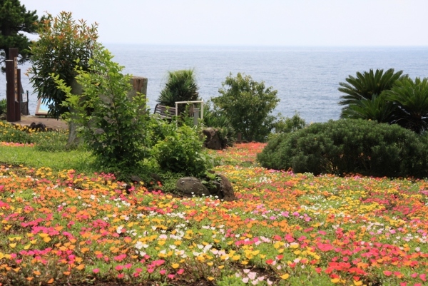 伊豆シャボテン公園グループで7月19日から9月7日までの期間、夏休みイベント「伊豆高原の夏休み！！1日中あそばナイト！！summer　event2014」が開催される。