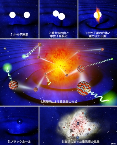 中性子星合体、それに続く合成されたR過程元素の宇宙空間における拡散過程のイメージ図。中性子星合体過程では重力波が放出される。合体後にはブラックホールが形成され、高速で飛び出す金やプラチナは擾乱磁場に沿いながらランダムに走り回り、やがて運動エネルギーを失い、ガスと混ざり合う。R過程元素合成の証として強い電磁波も放出される。（国立天文台の発表資料より）