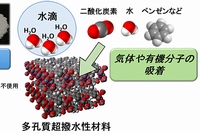 今回の研究結果の概要を示す図（京都大学の発表資料より）