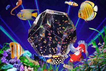 話題沸騰の「アートアクアリウム」と六本木ヒルズ夏祭りが限定コラボレーション