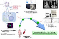 今回の研究の概要を示す図（岡山大学の発表資料より）