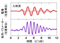 超伝導NbN薄膜試料に入射したテラヘルツ波電場パルスの時間波形と、このパルス照射中に秩序パラメータが振動していることを示す実験結果。テラヘルツ電場が中心周波数0.6THz（テラヘルツ）で振動しているのに対し、秩序パラメータはヒッグス・モードとの共鳴により、その倍の1.2THzで大きく振動する。（研究の発表資料より）