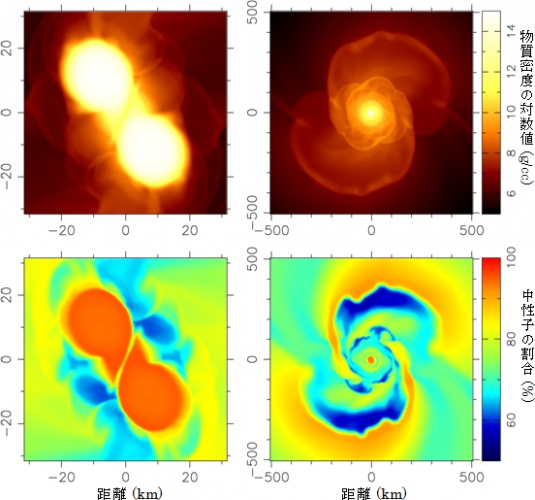 スーパーコンピューターによる中性子星合体の数値シミュレーション。左は2つの中性子星の合体の瞬間、右は合体から8ミリ秒後の様子を表す。上は物質の密度の対数値（g/cc）、下は物質中の中性子の割合（%） を表す。右下の黄色からオレンジの渦状部分で金やウランなど、青から水色の部分で銀やレアアースなどがつくられる（理化学研究所の発表資料より）