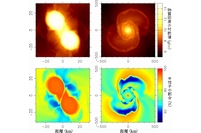 スーパーコンピューターによる中性子星合体の数値シミュレーション。左は2つの中性子星の合体の瞬間、右は合体から8ミリ秒後の様子を表す。上は物質の密度の対数値（g/cc）、下は物質中の中性子の割合（%） を表す。右下の黄色からオレンジの渦状部分で金やウランなど、青から水色の部分で銀やレアアースなどがつくられる（理化学研究所の発表資料より）