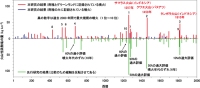 今回の研究と先行研究で求められたアイスコア中の火山性硫酸塩の量の比較（理化学研究所の発表資料より）