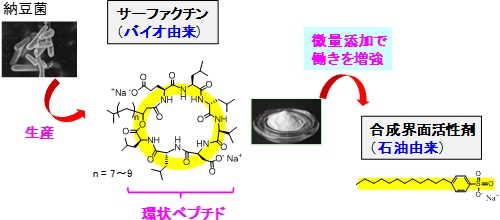 サーファクチン（左）と合成界面活性剤（右）（産業技術総合研究所の発表資料より）