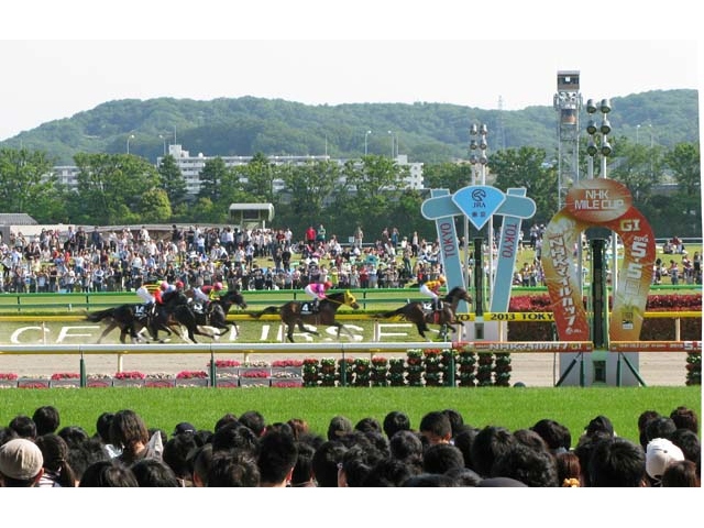 世界一の規模を誇るJRA最大の東京競馬場。過去には1日で20万人近い入場者を記録したこともあるが、近年はG1でも10万人を超えることがなくなった。当たり馬券への課税強化が進めば、さらにファンの足は遠のく?