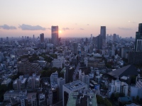 貯蓄性の保険を利用した節税が注目を集めている。しかし、相続財産の大半が不動産のケースではこの方法は使えない。被相続人が高齢の場合も贈与できる金額は限られる。今後、地価が上昇すれば相続税の悩みはさらに増えることになる。