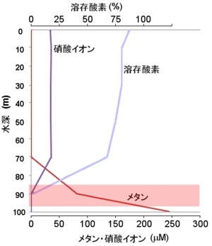 調査地点での湖水環境と脱窒メタン酸化細菌の生息環境の概要を示す図。溶存酸素が枯渇し、メタンが供給される水深90m付近（図中着色部）で脱窒メタン酸化細菌が優占していた。（京都大学の発表資料より）