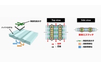 ゲル内部における軟骨類似構造の形成メカニズムを示す図（北海道大学の発表資料より）