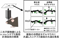 実験の概要を示す図（東京大学の発表資料より）