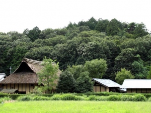 内閣府の世論調査によると、都市部に住む人の約3割が農山漁村地域へ定住願望を抱いていることが分かった。農山漁村地域に定住してみたいという願望が「ある」という人は、前回調査時から11%増となり、20～29歳が最も多い。