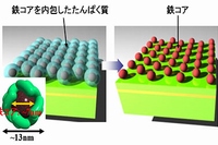 バイオテンプレートと中性粒子ビームを用いた量子ドット作製技術を示す図（東北大学らの発表資料より）