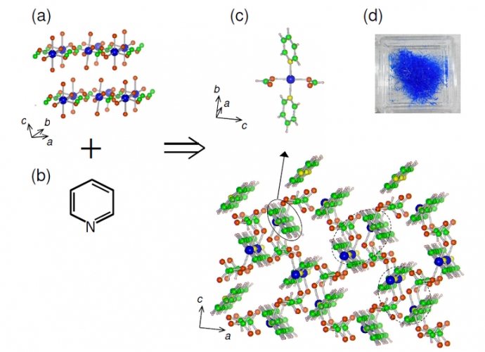 自己組織化を経て得られる1次元2量体の合成の概要を示す図(a)Cu(HCO2)2・4H2O, (b)C5H5N, (c)1次元2量体C12H12CuN2O4, (d)C12H12CuN2O4の単結晶写真。C, O, Cu, N, Hはそれぞれ緑色、オレンジ色、青色、黄色、ピンク色で示されている。(a)中の水分子は省略し、(c)では2量体が破線で囲まれている。（大阪大学の発表資料より）