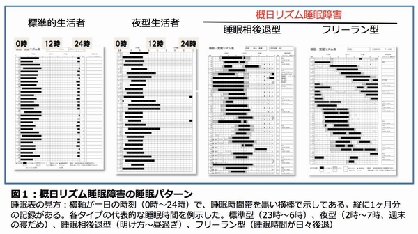 標準的生活者、夜型生活者、睡眠相後退型、フリーラン型のそれぞれの睡眠パターンを示す図（国立精神・神経医療研究センターの発表資料より）