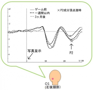 暴力的なテレビゲームで遊んだ成人に怒り顔の刺激を提示した場合に後頭部で観察された事象関連電位成分P2成分と分析対象電極の位置（東京大学の発表資料より）