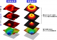 今回の研究では、ディラック電子の空間分布が、ポテンシャルの底からわき出してエネルギーの上昇ととも同心円状のリングになって広がるように変化する様子を実験で観測した。また、この振る舞いを理論解析で再現することに成功した（理化学研究所の発表資料より）