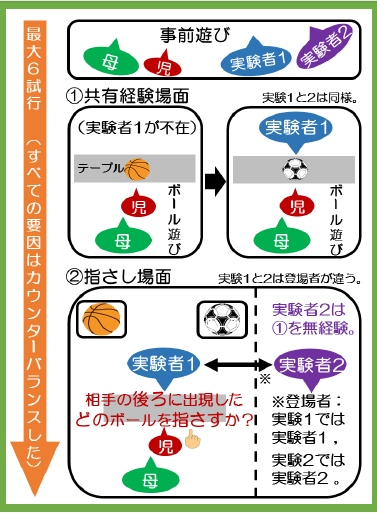 今回の研究で実施した実験の概要を示す図（九州大学の発表資料より）