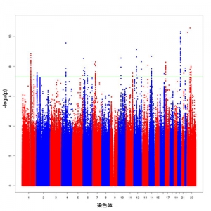 多人種での前立腺がんのゲノムワイドSNP関連解析の結果を示す図（理化学研究所の発表資料より）