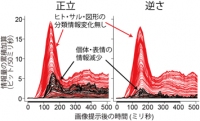 顔画像提示後に側頭葉単一神経細胞が処理する情報量の時間経過を示す図（産総研の発表資料より）