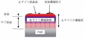 今回の研究で明らかになった電極表面の構造（九州大学の発表資料より）