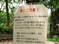 日本でも今年大流行したデング熱。英国のオキシテック社は、デング熱対策に遺伝子組み換え蚊を自然界に放つ研究を進めている。遺伝子組み換え蚊の子孫はたんぱく質を正常に作ることができないため、成虫になる前に死んでしまう。