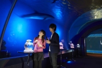 日本最大級の水族館「横浜・八景島シーパラダイス」は、“きらめく海の中でのデート”をコンセプトにした冬季夜限定『アクアナイト・ラバーズ』を11月15日から開催する。