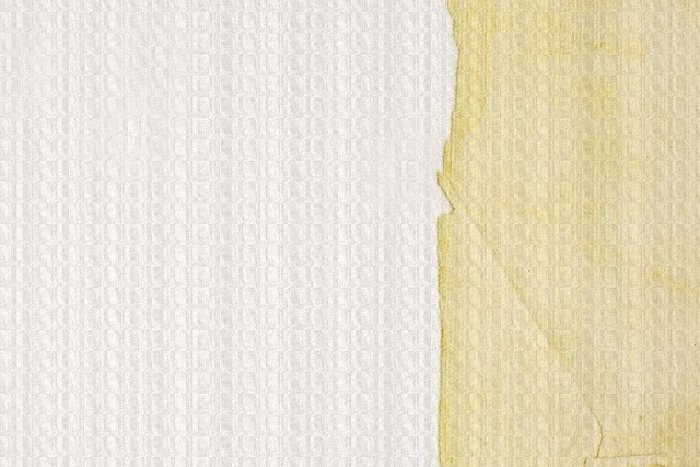 日本が誇る伝統技術「和紙」がユネスコの無形文化遺産に登録される見通しとなった。登録対象となっているのは、島根県の「石州半紙」、埼玉県の「細川紙」、岐阜県の「本美濃紙」の3つで、いずれも手漉きによる伝統的な製法で作られている。