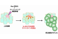 分泌たんぱく質によるがん化の促進を示す図（京都大学の発表資料より）