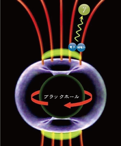 IC310 において観測された短時間の激しい高エネルギーガンマ線の強度変動は、高速度で回転するブラックホール極軸付近の磁気圏に、電位ギャップが生成され、その電位差を使い電子、陽電子が加速されガンマ線が放射されたとして説明できる（The MAGIC Collaboration）