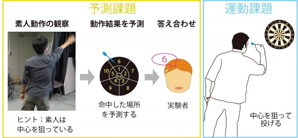 ダーツのエキスパートが行った予測課題と運動課題の概要を示す図（情報通信研究機構の発表資料より）