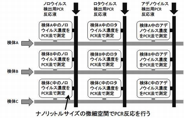 研究グループが開発した、ヒトに病気を起こしうる様々な病原ウイルスを同時一斉に検出・定量する技術の概念図（北海道大学の発表資料より）