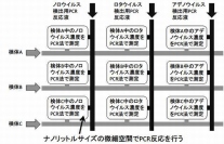 研究グループが開発した、ヒトに病気を起こしうる様々な病原ウイルスを同時一斉に検出・定量する技術の概念図（北海道大学の発表資料より）