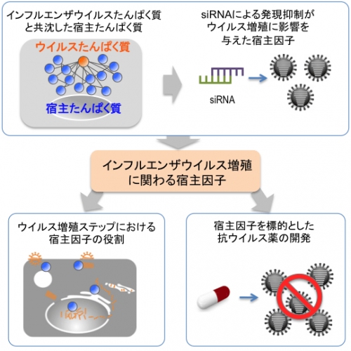 今回の研究の概要を示す図（研究グループの発表資料より）