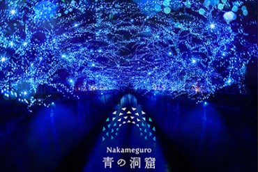 目黒川が青の洞窟に！中目黒に神秘的なイルミネーション出現