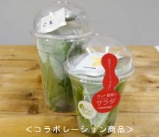 ケンコーマヨネーズ＜２９１５＞（東１）は、東芝の植物工場「東芝クリーンルームファーム横須賀」で生産した野菜に同社製の粉末ドレッシングを添付したコラボレーション商品を・・・。