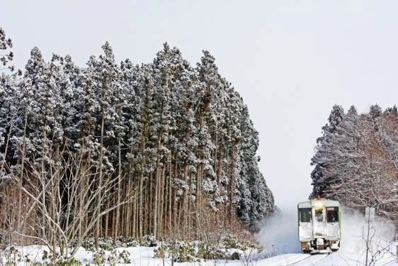 JR東日本は、住友林業、住友大阪セメントとの合弁会社を通じて青森県八戸市でバイオマス発電事業を行う（写真：JR東日本の発表資料より）
