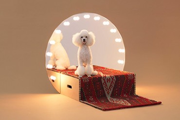 「犬のための建築」展が金沢21世紀美術館で開催