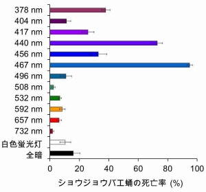 ショウジバエ蛹に対する様々な波長の光の殺虫効果を示す図（東北大学の発表資料より）