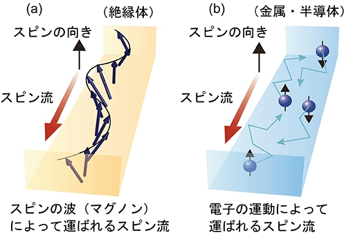 スピン流とスピンの波（マグノン）の模式図（慶應義塾大学の発表資料より）