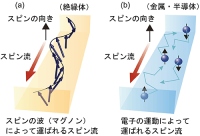 スピン流とスピンの波（マグノン）の模式図（慶應義塾大学の発表資料より）