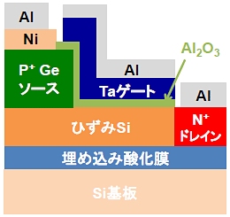 今回実現したトンネルFETのデバイス構造を示す図（東京大学の発表資料より）