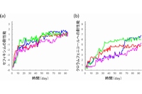 抗生物質添加環境での進化実験結果の例。(a)はセフィキシム（細胞壁合成阻害剤）、(b)はクロラムフェニコール（タンパク質合成阻害剤）を添加した環境での進化実験結果を示す。縦軸は、菌の増殖が阻害される最小の抗生物質濃度（mg/L）を対数変換したもので、この値が大きいほど高い耐性能を持つ（理化学研究所の発表資料より）