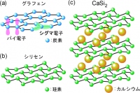 (a)グラフェン、(b)シリセン、(c)多層シリセン層間化合物CaSi2の結晶構造を示す図。グラフェン中には、パイ電子、シグマ電子と呼ばれる2種類の電子が存在する。シリセンはグラフェンと異なり、バックリング構造とよばれる凸凹した構造を持つ。CaSi2はシリセンの原子シート間にカルシウムが挿入された構造を持つ（東北大学の発表資料より）