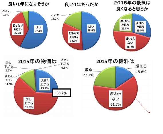 日本生命保険が発表した「2015年の抱負・期待」に関するアンケート調査の結果の一部を示す図（同社発表資料より）