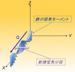 模式的に示した磁気モーメントと新規電気分極成分の関係。X, Z方向はそれぞれ結晶のa, c軸と平行である（東京大学などの発表資料より）