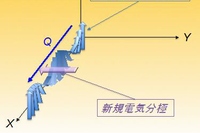 模式的に示した磁気モーメントと新規電気分極成分の関係。X, Z方向はそれぞれ結晶のa, c軸と平行である（東京大学などの発表資料より）