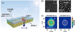 （a）今回の実験に利用した素子の模式図。素子に可視光を照射すると、金微粒子中に励起された表面プラズモンを介して光とスピンが相互作用し、磁性ガーネットと白金の界面近傍にスピン流が生成される。このスピン流を起電力に変換することで、電気信号として観測した。（b） 走査型電子顕微鏡により撮影した金微粒子。直径100nm（ナノメートル）以下の金微粒子が光アンテナとして作用する。（c） 金微粒子近傍の電磁場分布のシミュレーション結果。可視光域の波長690nm近傍の光を照射すると表面プラズモン共鳴が生じるため、金微粒子の周りに局在した強力な電磁場が発生し（左図）、スピンの運動が励起される。表面プラズモン共鳴条件を満たさない波長500nmの光を照射した場合には、電磁場の増強効果は起こらない（右図）（東北大学などの発表資料より）