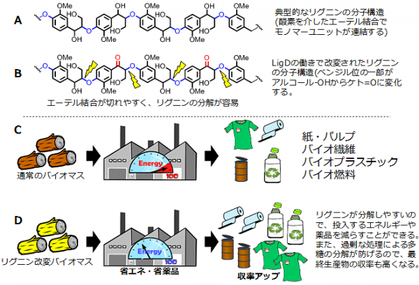 LigDによるリグニン改変の原理とその効果を示す図（東京農工大学などの発表資料より）